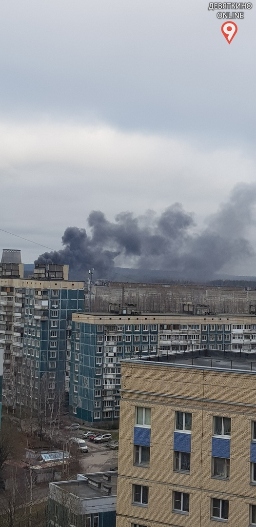 Фото: паблик "Девяткино Online", vk.com